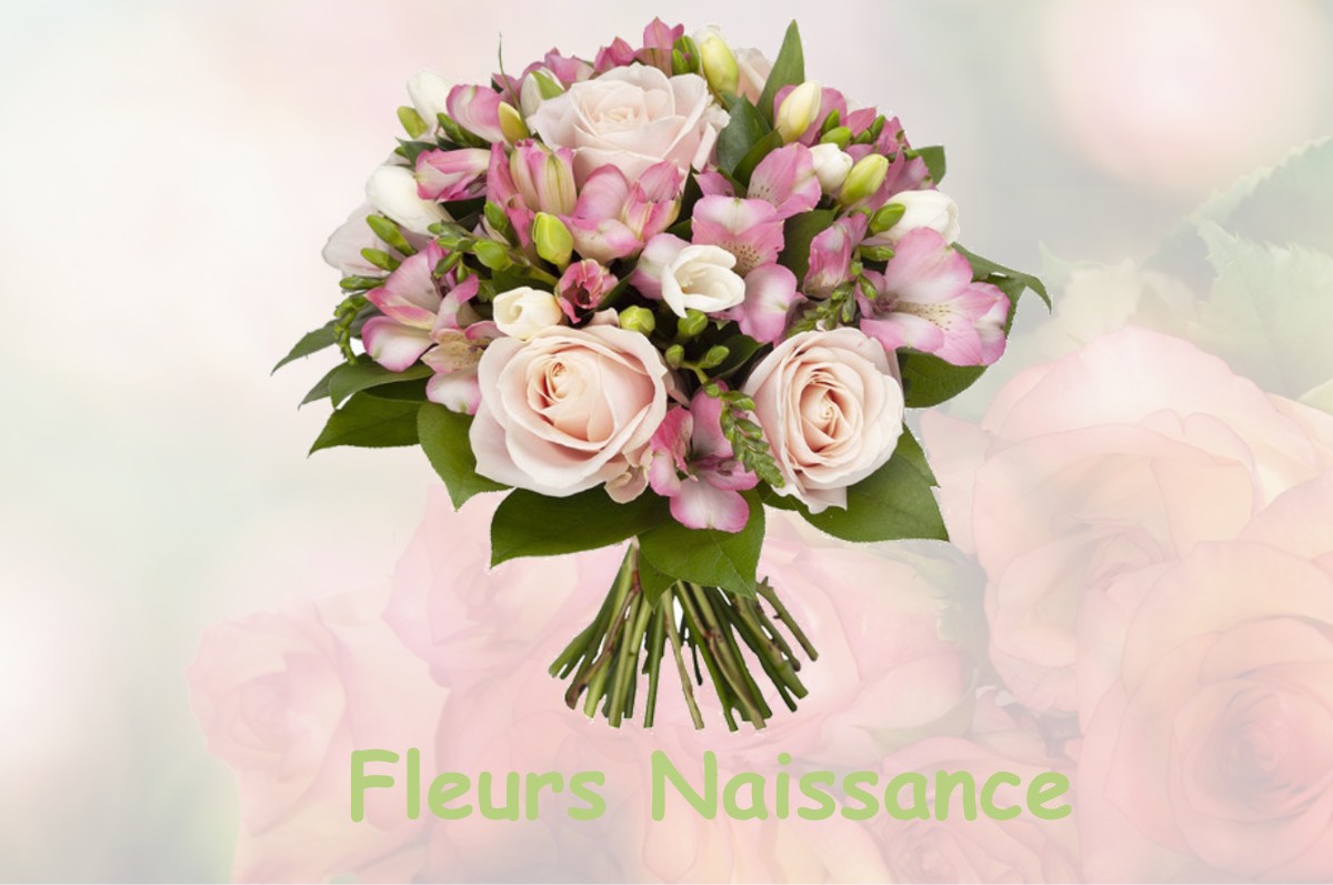 fleurs naissance BOULAY-LES-IFS
